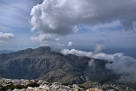 DSC05989 -1_t.jpg
